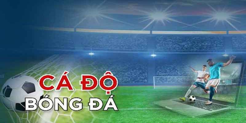 Thuật Ngữ Cá Độ Bóng Đá - Giải Mã Các Khái Niệm Quan Trọng 2 Bật mí ý nghĩa thuật ngữ cá độ bóng đá