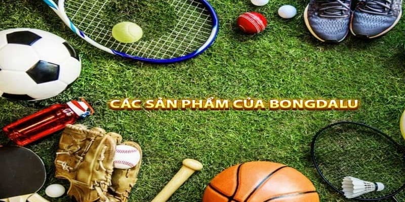 Trang chủ 636 Bongdalu dành cho ai? Các môn thể thao nổi bật