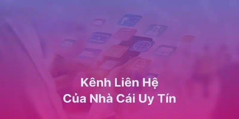 Cách Nhận Hỗ Trợ Từ Nhà Cái Bongdalu - Giải Đáp Hỗ Trợ Nhanh 3 Khám phá các cách nhận hỗ trợ từ nhà cái vô cùng tiện ích
