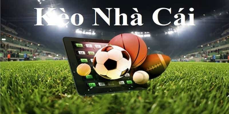 Cách Soi Kèo Nhà Cái Bongdalu - Phân Tích Thông Minh Kèo Nhà Cái 2 Hướng dẫn cơ bản cách soi kèo nhà cái
