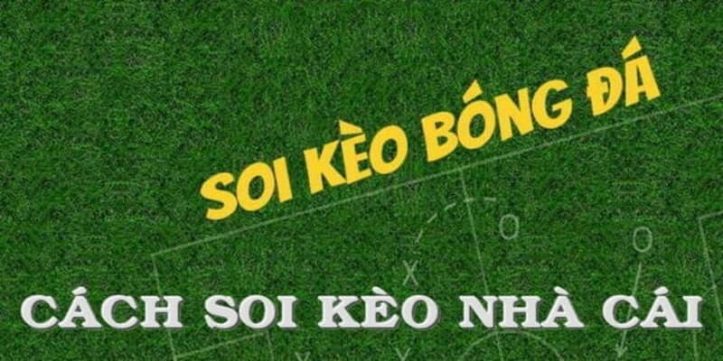 Cách Soi Kèo Nhà Cái Bongdalu - Phân Tích Thông Minh Kèo Nhà Cái 3 Bỏ túi cách soi kèo nhà cái từ chuyên gia