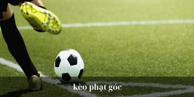Cách Xem Kèo Phạt Góc Đúng Chuẩn Nhất - Tìm Hiểu Chi Tiết 4 cach-xem-keo-phat-goc-3