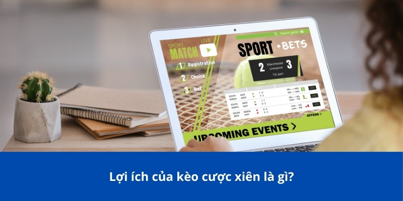Cược Xiên Là Gì? Bongdalu Giới Thiệu Về Cách Chơi Và Các Lợi Ích 3 Lợi ích của kèo cược xiên là gì?