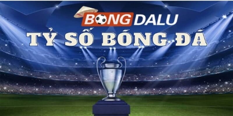 Đăng Ký Bongdalu - Thế Giới Bóng Đá Chuyên Nghiệp Hiện Nay 2 Tìm hiểu lý do nên đăng ký Bongdalu
