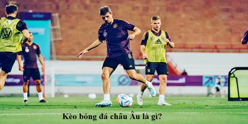Cách Đánh Kèo Châu Âu Hiệu Quả – Bí Quyết Cá Cược Thắng 2 Định nghĩa kèo châu Âu