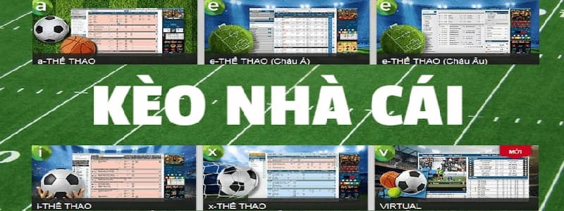 Giải Mã Kèo Nhà Cái Bongdalu: Chi Tiết Giúp Đặt Cược Thể Thao Hay 4 Kinh nghiệm giải mã kèo nhà cái cho người mới