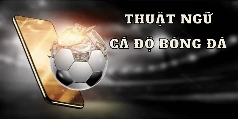Thuật Ngữ Cá Độ Bóng Đá - Giải Mã Các Khái Niệm Quan Trọng 3 Hiểu đúng thuật ngữ cá độ để cá cược hiệu quả tại Bongdalu