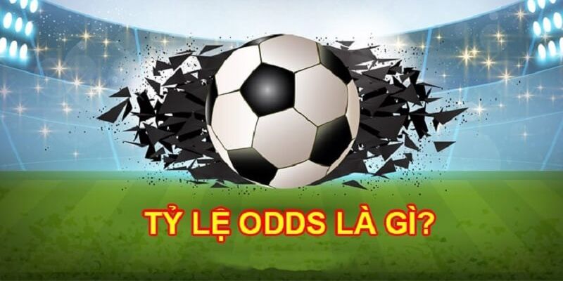 Odds Là Gì? Kinh Nghiệm Đặt Cược Tỷ Lệ Kèo Đúng Cho Bạn 2 odds-la-gi-1