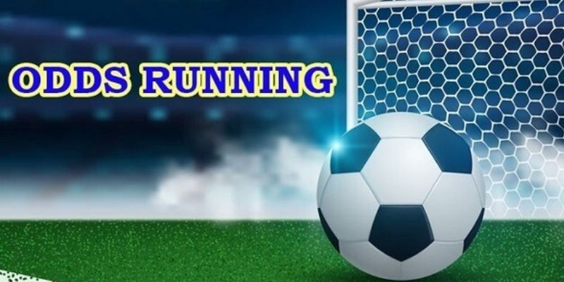 Odds Là Gì? Kinh Nghiệm Đặt Cược Tỷ Lệ Kèo Đúng Cho Bạn 4 Kinh nghiệm đặt cược Odds là gì