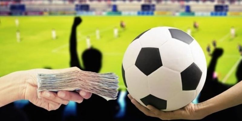 tai-sao-ca-do-bong-da-online-luon-thua